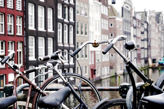 minibus with driver and bus hire service in Amsterdam, Netherlands